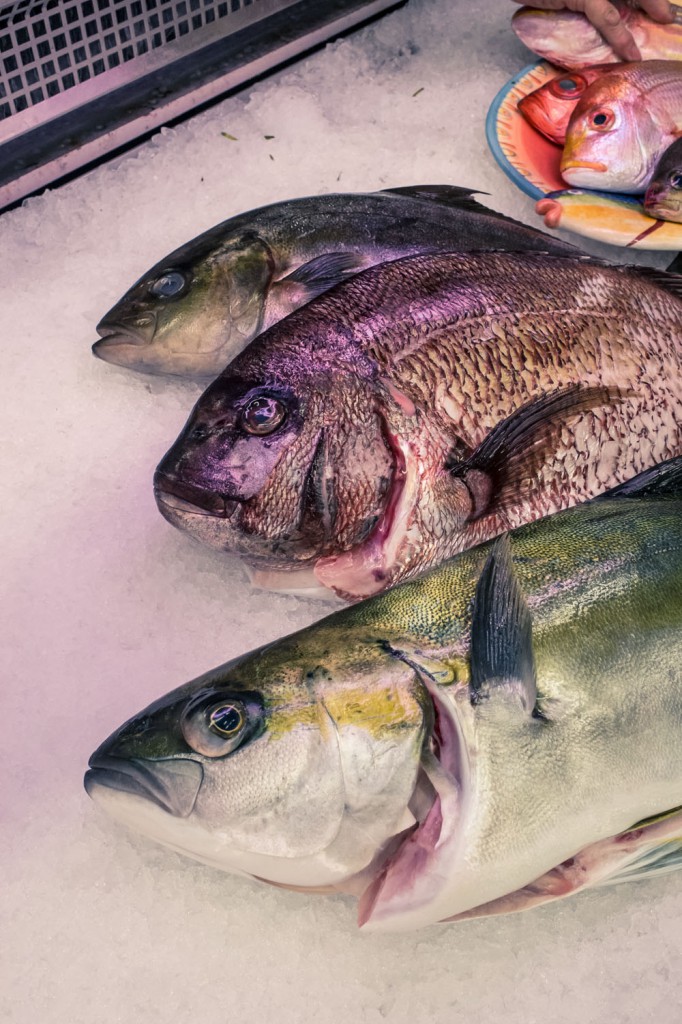 Fresh Fish selection from Japan